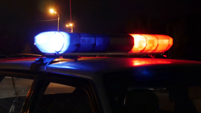 Woman from Lauderhill Florida - Police Car With Siren Lights On 4kzuadame F0000 768x432