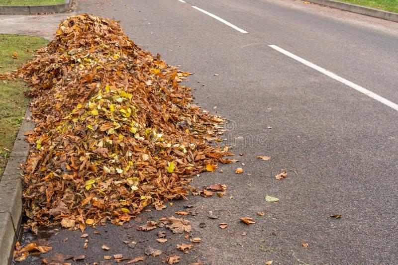 Leaf Collection to Begin in New Brighton, Daugherty and Pulaski