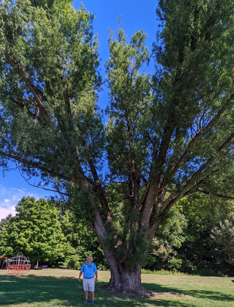 Positive Impact - The Legacy of Frank Riggio - Beaver County Radio