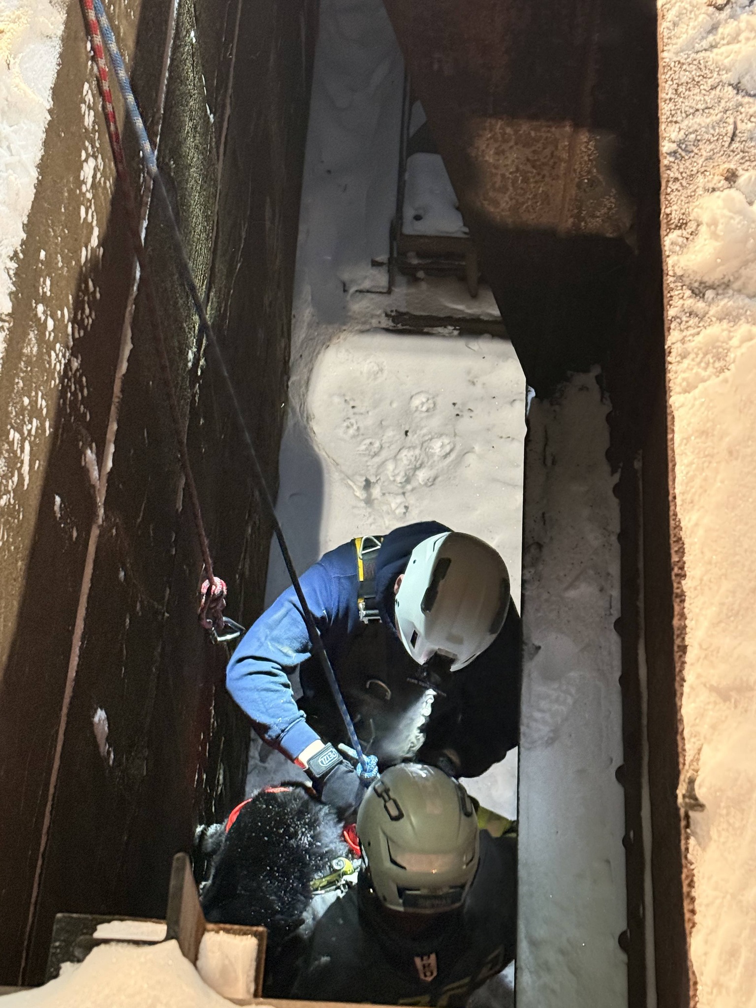 Dog in Beaver County rescued from a local railroad structure by ...